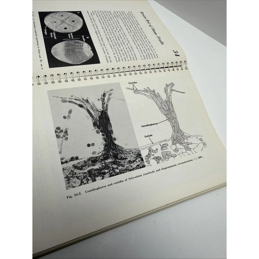 Atlas and Manual of Plant Pathology by Ervin Barnes 1979, Spiralbound Paperback